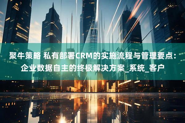 聚牛策略 私有部署CRM的实施流程与管理要点：企业数据自主的终极解决方案_系统_客户