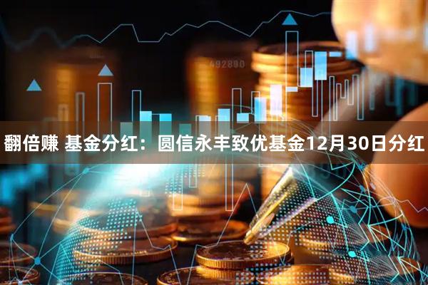 翻倍赚 基金分红:圆信永丰致优基金12月30日分红